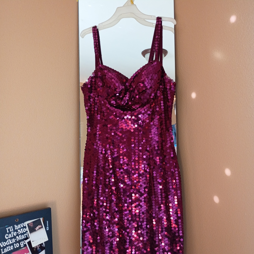Niteline Fuchsia Sequin Dress
